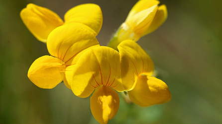 Similar image 21144384