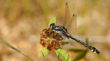 Similar image 21144386