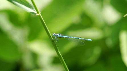 Similar image 21144390