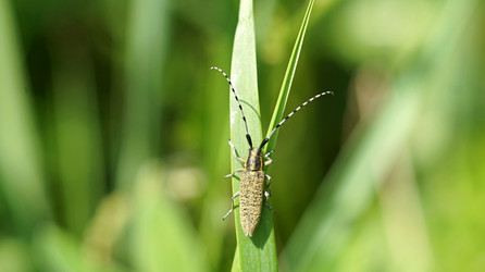 Similar image 21144392