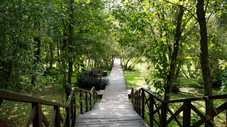 Similar image 21144393