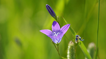 Similar image 21143635