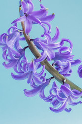 Similar image 21165529