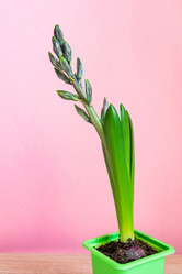 Similar image 21165550