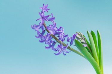 Similar image 21165556