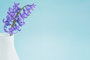 Similar image 21165558