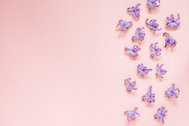 Similar image 21166292