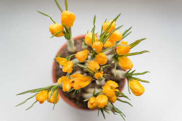 Similar image 21166302