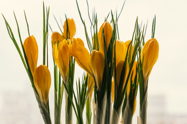 Similar image 21166304