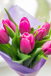 Similar image 21166306