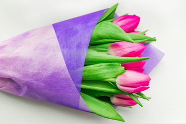 Similar image 21166310