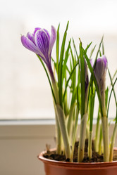 Similar image 21166312