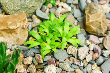 Similar image 21166317