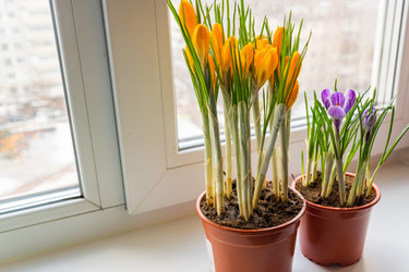 Similar image 21166318