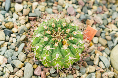 Similar image 21166321