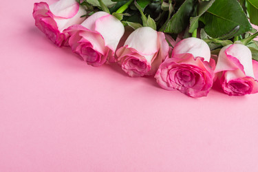 Similar image 21166328