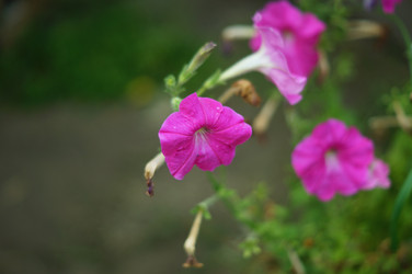 Similar image 21142846