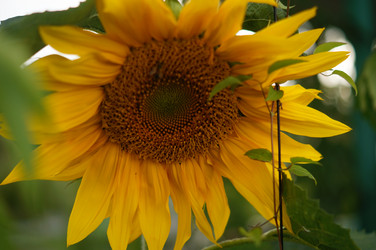 Similar image 21142847