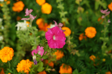 Similar image 21142848