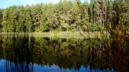 Similar image 21143819