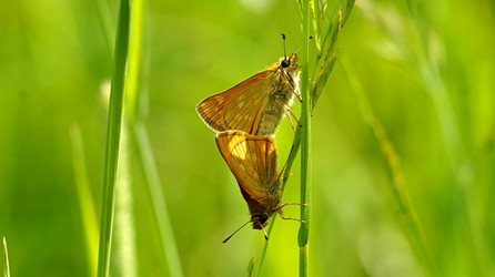 Similar image 21143820