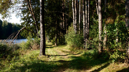 Similar image 21143642