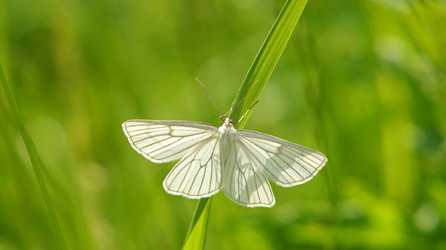 Similar image 21143643