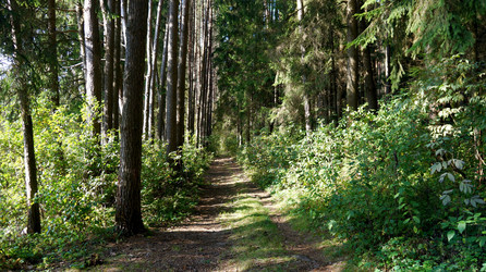 Similar image 21143821