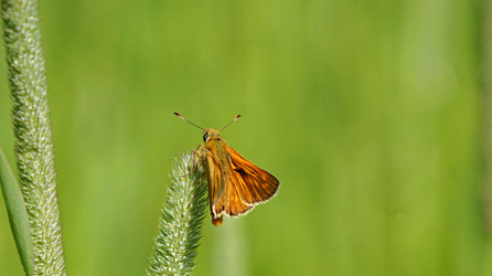 Similar image 21143822