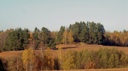 Similar image 21143644