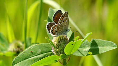 Similar image 21142850