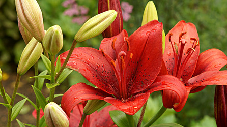 Similar image 21142982