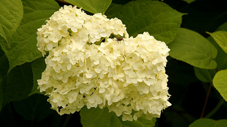 Similar image 21142984