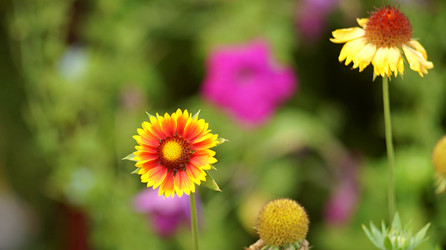 Similar image 21142986