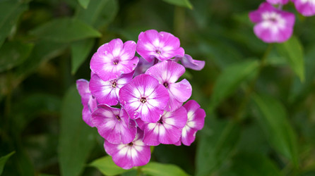 Similar image 21142987