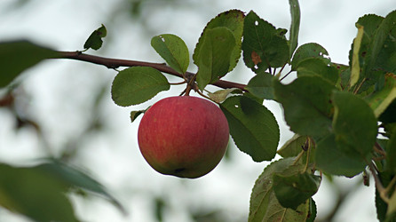 Similar image 21142988