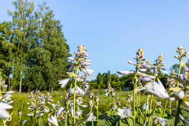 Similar image 21148260