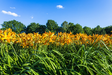 Similar image 21148262