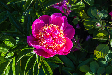 Similar image 21148263