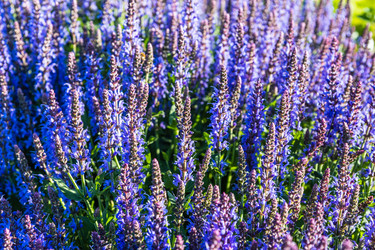 Similar image 21148269