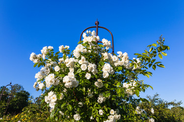 Similar image 21148271