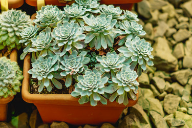 Similar image 21165948