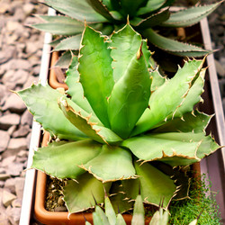 Similar image 21165950