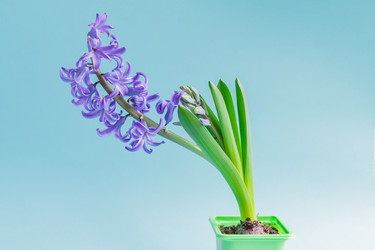 Similar image 21166348