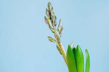 Similar image 21166349