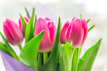 Similar image 21166357