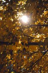 Similar image 21143362