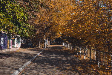 Similar image 21143363