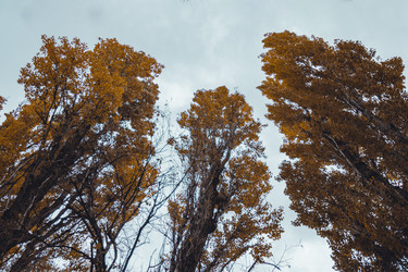 Similar image 21143364