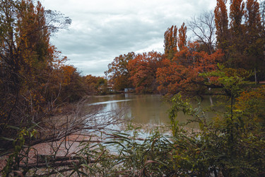 Similar image 21143365